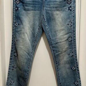 Embroidered Skinny Leg Blue Denim Jeans